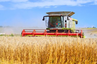 Buğday tarlasında çalışan hasatçıyı birleştirin, kırsal alanda hasat yapın.