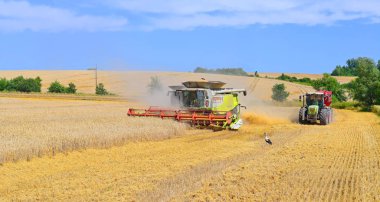 Buğday tarlasında çalışan hasatçıları birleştirin, kırsal kesimde hasat yapın.