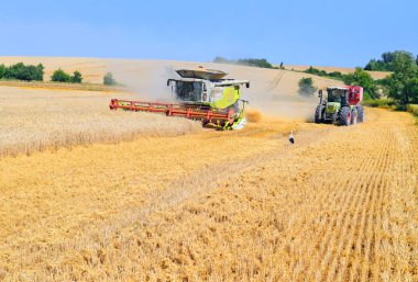 combine harvesters working at wheat field, harvesting in the countryside