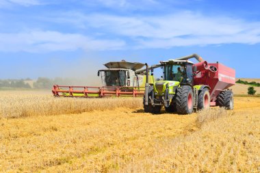 Tahıl hasat traktör römork tahıl tankına aşırı yükleme.