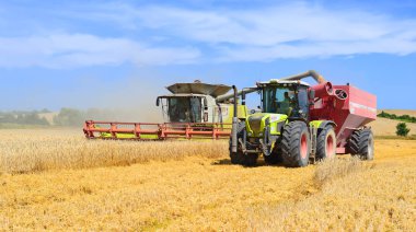 Tahıl hasat traktör römork tahıl tankına aşırı yükleme.