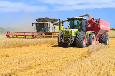 Tahıl hasat traktör römork tahıl tankına aşırı yükleme.