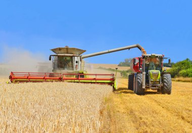 Tahıl hasat traktör römork tahıl tankına aşırı yükleme.