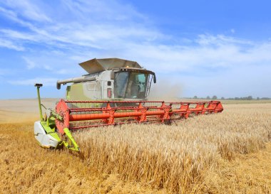 combine harvester working at wheat field, harvesting in the countryside