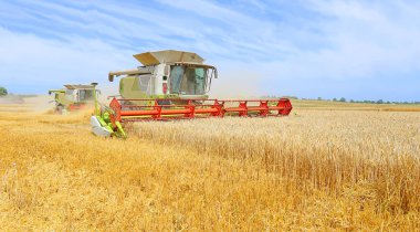 combine harvester working at wheat field, harvesting in the countryside