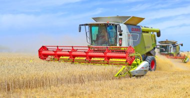 Buğday tarlasında çalışan hasatçıyı birleştirin, kırsal alanda hasat yapın.