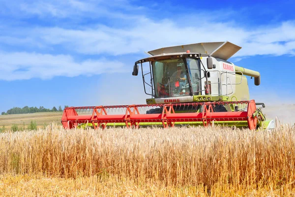 Combine Harvester Working Wheat Field Harvesting Countryside — Fotografia de Stock