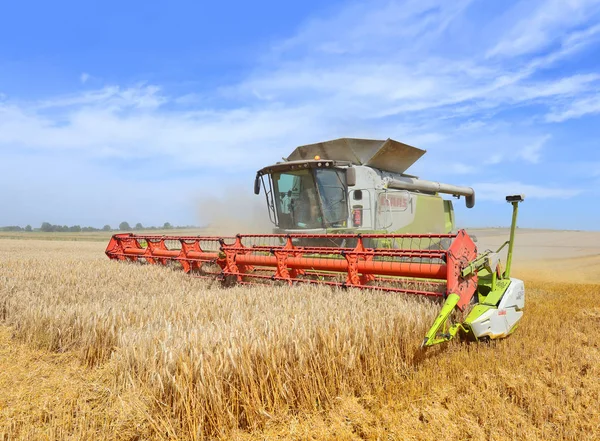 Combine Harvester Working Wheat Field Harvesting Countryside — Stock Fotó