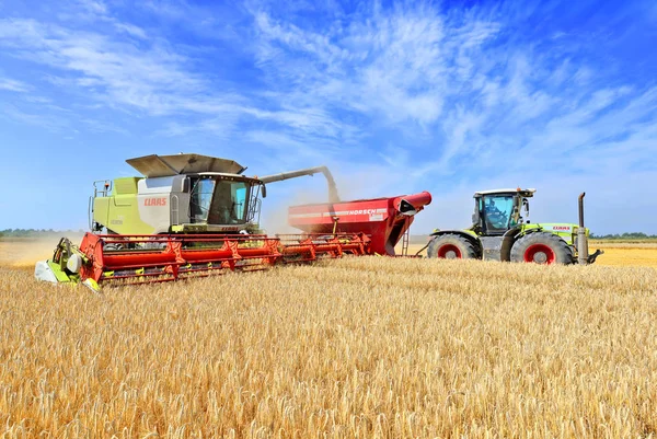 Sovraccarico Della Mietitrice Nel Serbatoio Del Rimorchio Del Trattore — Foto Stock