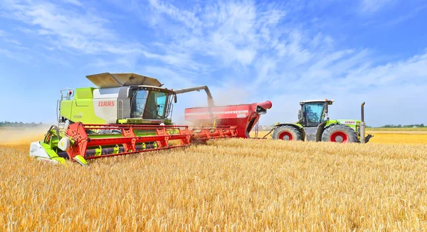 Sovraccarico Della Mietitrice Nel Serbatoio Del Rimorchio Del Trattore — Foto Stock