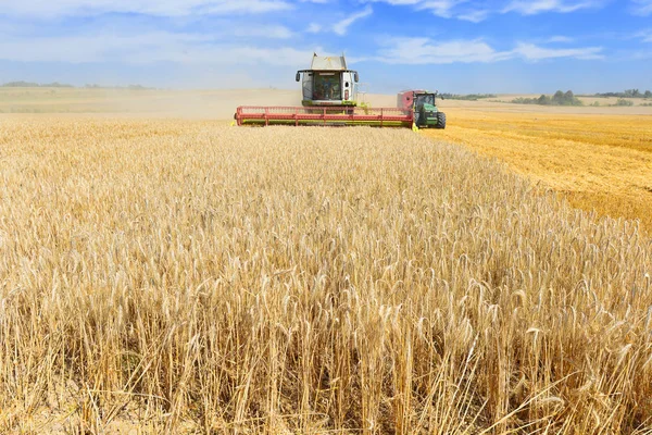 Combine Harvester Working Wheat Field Harvesting Countryside — ストック写真