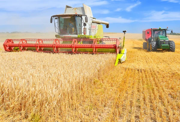 Combinare Mietitrebbia Che Lavora Nei Campi Grano Raccolta Campagna — Foto Stock