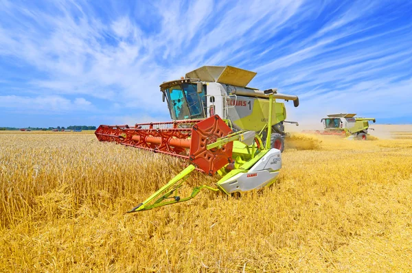 在小麦地里干活的联合收割机 在农村收割的联合收割机 — 图库照片