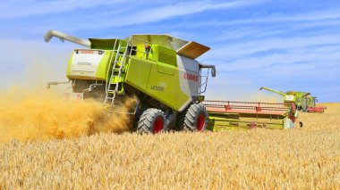 Buğday tarlasında çalışan hasatçıları birleştirin, kırsal kesimde hasat yapın.