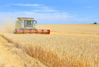 combine harvester working at wheat field, harvesting in the countryside
