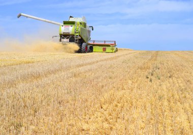 Buğday tarlasında çalışan hasatçıyı birleştirin, kırsal alanda hasat yapın.