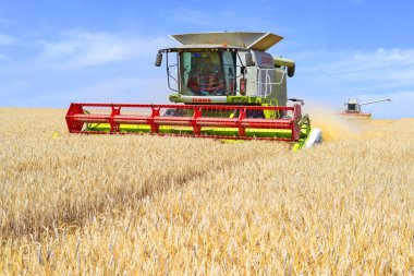 combine harvester working at wheat field, harvesting in the countryside