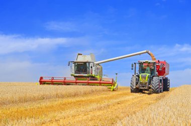 Tahıl hasat traktör römork tahıl tankına aşırı yükleme.