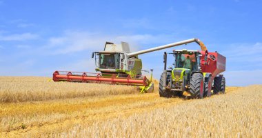 Tahıl hasat traktör römork tahıl tankına aşırı yükleme.