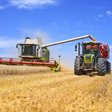 Tahıl hasat traktör römork tahıl tankına aşırı yükleme.