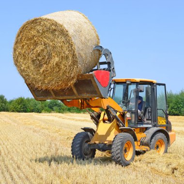 Kalush, Ukraine - August 13: Universal loader harvesting straw in the field near the town Kalush, Western Ukraine August 13, 2015