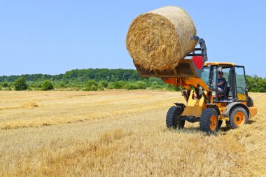 Kalush, Ukraine - August 13: Universal loader harvesting straw in the field near the town Kalush, Western Ukraine August 13, 2015