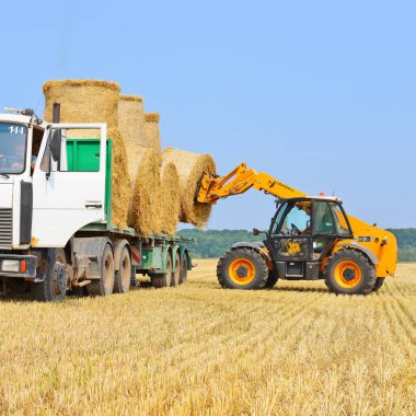 Kalush, Ukrayna - 13 Ağustos 2015: Evrensel yükleyici, Batı Ukrayna 'nın Kalush kenti yakınlarında saman hasında hasat ediyor