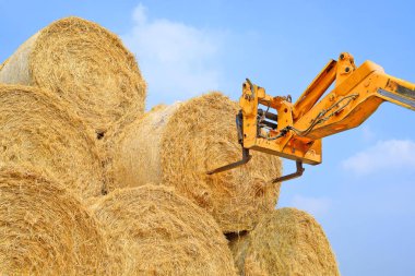 Telescopic handler for storing bales of straw on the ground storage clipart