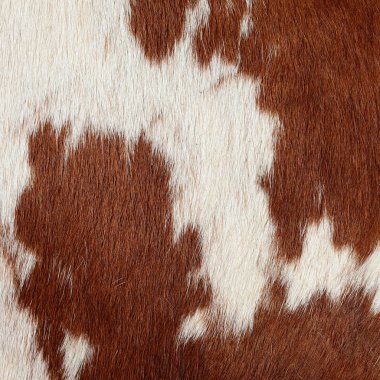 Kahverengi ve Beyaz İnek Kürkü Arkaplanı