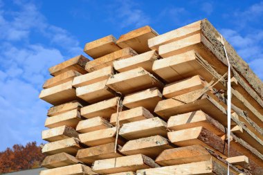 Sörf tahtalarını dizer