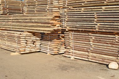 Sörf tahtalarını dizer