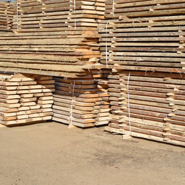 Sörf tahtalarını dizer