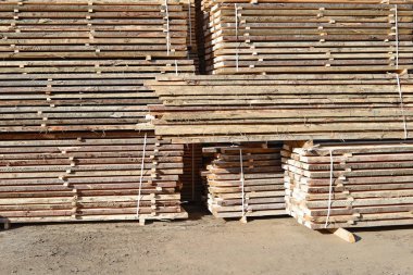 Sörf tahtalarını dizer