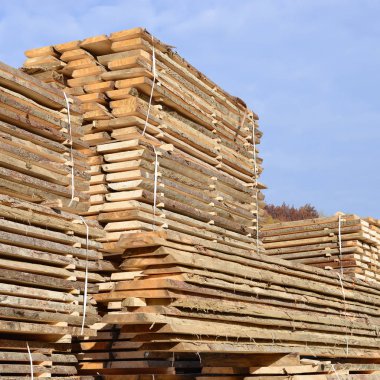 Sörf tahtalarını dizer