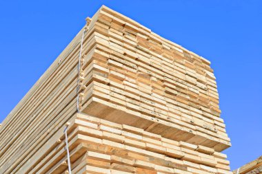 Sörf tahtalarını dizer