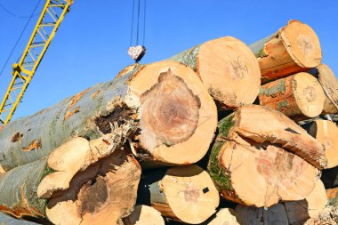 İşlem için günlükler oluşturuldu.