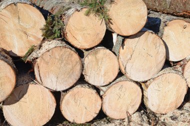 İşlem için günlükler oluşturuldu.