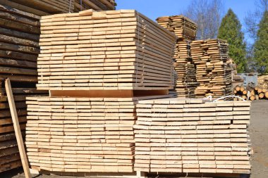 Sörf tahtalarını dizer