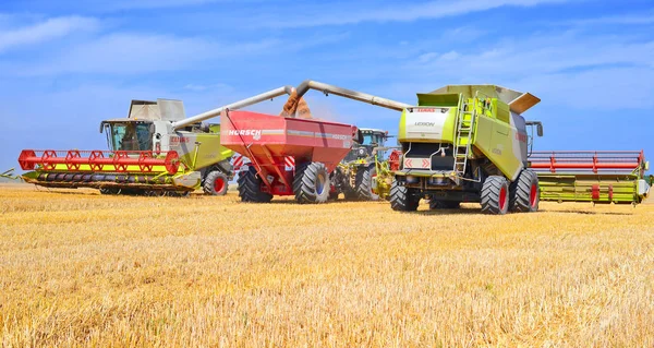 Overbelasting Van Graan Harvester Tank Van Korrel Van Trekker Aanhangwagen — Stockfoto