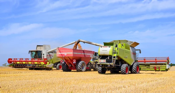 Getreidevollernter Überladen Den Getreidetank Des Traktoranhängers — Stockfoto