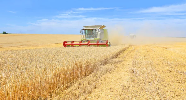 Maaidorser Tarweveld Combineren Oogsten Het Platteland — Stockfoto