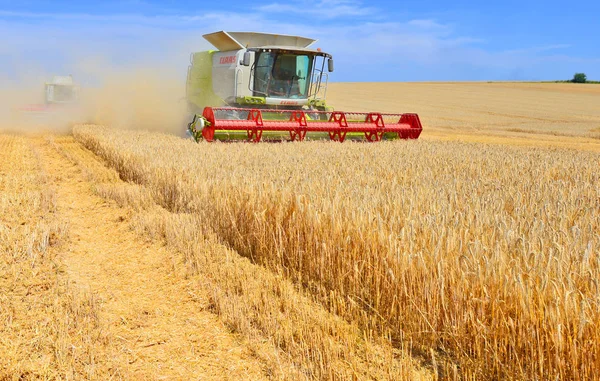 Combinare Mietitrebbia Che Lavora Nei Campi Grano Raccolta Campagna — Foto Stock