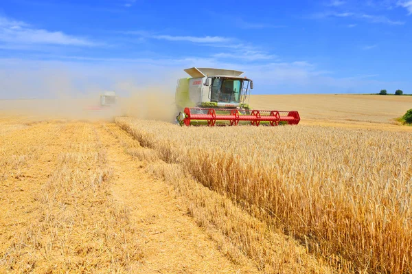 Mähdrescher Bei Der Arbeit Auf Dem Weizenfeld Ernte Auf Dem — Stockfoto