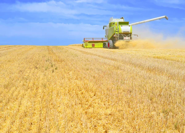 Combinare Mietitrebbia Che Lavora Nei Campi Grano Raccolta Campagna — Foto Stock