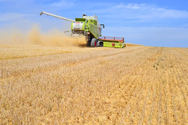 Combine Harvester Working Wheat Field Harvesting Countryside — Foto Stock