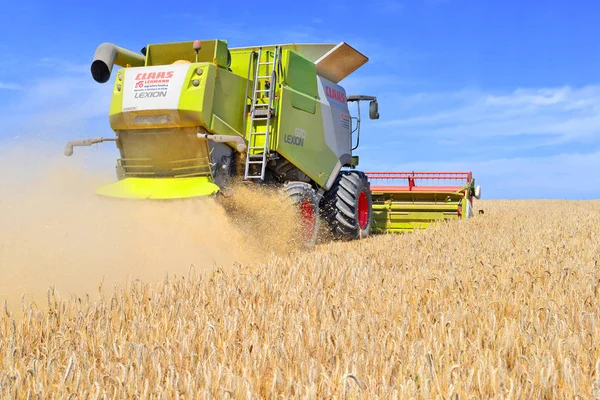 Combine Harvester Working Wheat Field Harvesting Countryside — Foto de Stock