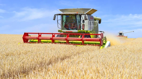 Combine Harvester Working Wheat Field Harvesting Countryside — Foto Stock