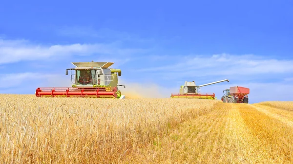 Combine Harvesters Working Wheat Field Harvesting Countryside — Stockfoto