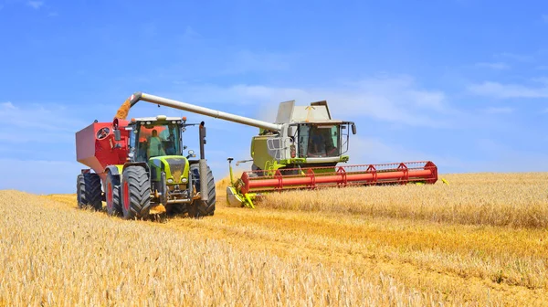 Overbelasting Van Graan Harvester Tank Van Korrel Van Trekker Aanhangwagen — Stockfoto