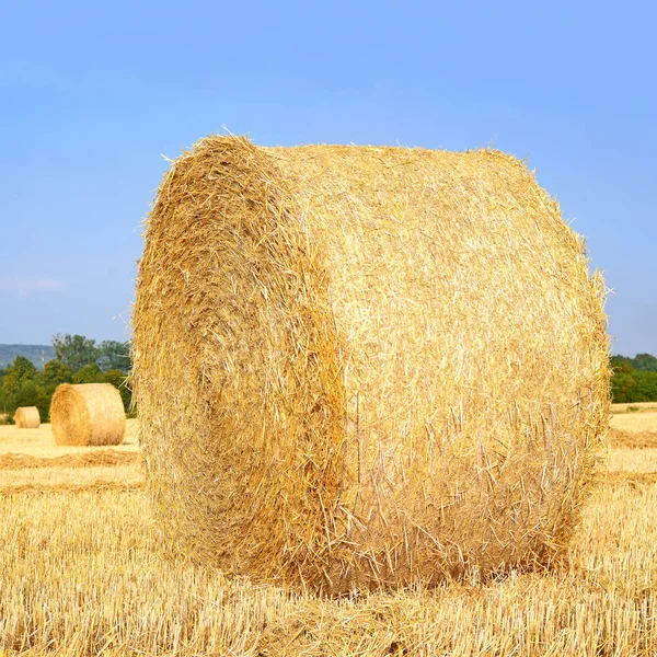Harvesting Straw Rural Landscape — Stock Photo, Image